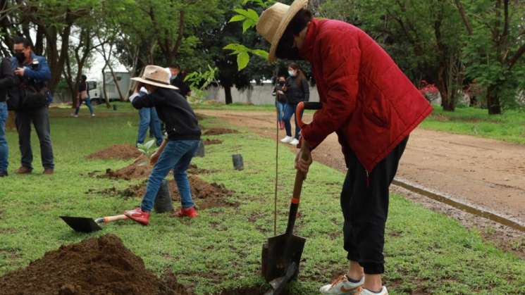 Campaña de Reforestación en Parques Públicos con 800 árboles