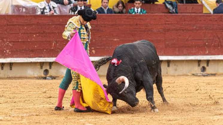 Anula SCJN decreto que considera toreo como patrimonio cultural