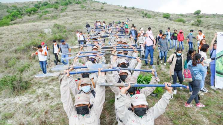 Conmemora Semaedeso Día de la Riqueza Natural con reforestación 