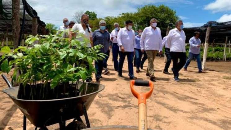 En Oaxaca inicia Tercera Jornada Nacional de Siembra 