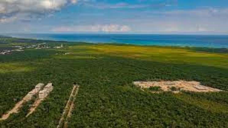 AMLO decreta área protegida al Parque del Jaguar en Tulum