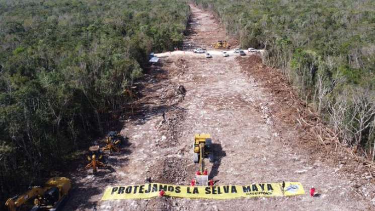 Suspensiones definitivas a tramo 5 del Tren Maya son revocadas