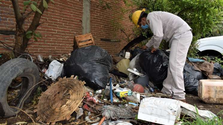 Conmemoran SSO Día Internacional contra el Dengue