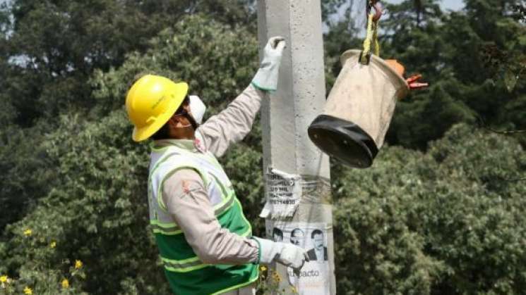 Serán Altán Redes y CFE encargados de ampliar internet en México