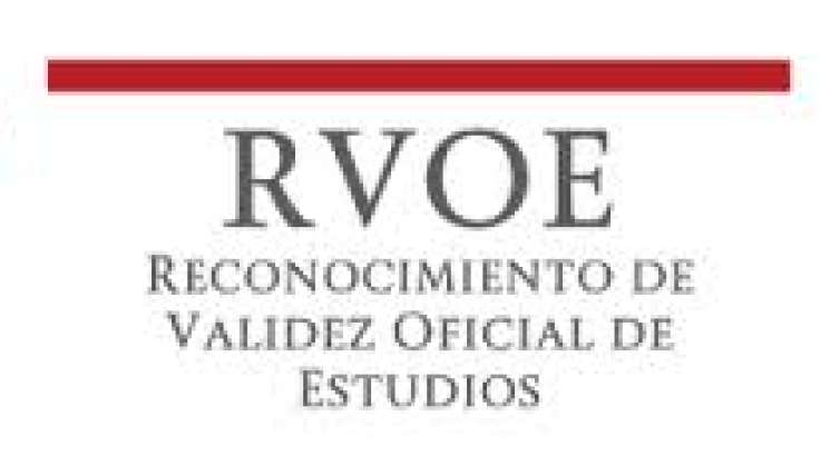 Pide IEEPO elegir escuelas con reconocimiento de validez oficial 