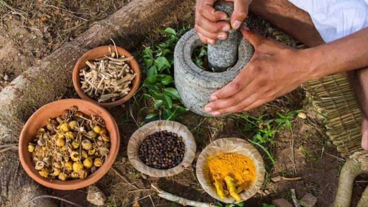 Incluyen medicina tradicional en plan para federalizar la salud