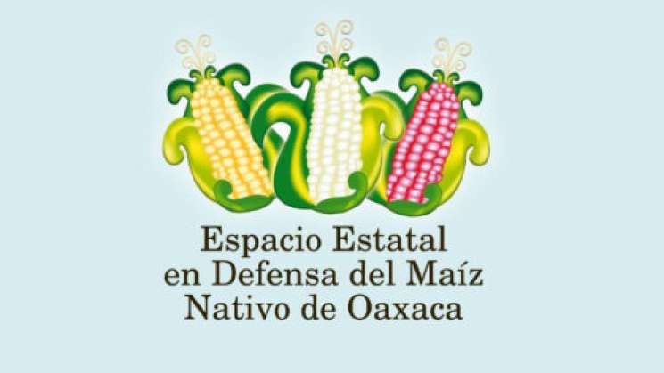 Conmemoran Día Estatal en Defensa del Maíz Nativo de Oaxaca