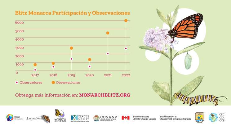  Participación sin precedente en la iniciativa “Blitz Monarca”