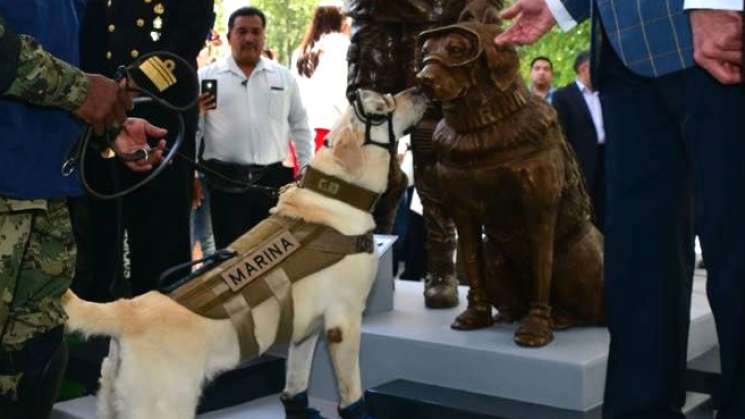 Con escultura le rinde homenaje Semar a perrita rescatista Frida 