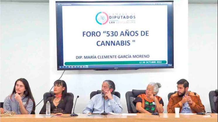 Colectivos y OGNs piden aprovechar mariguana incautada