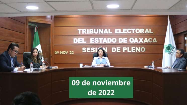 Validan elecciones de San Pedro Quiatoni y San Francisco Logueche