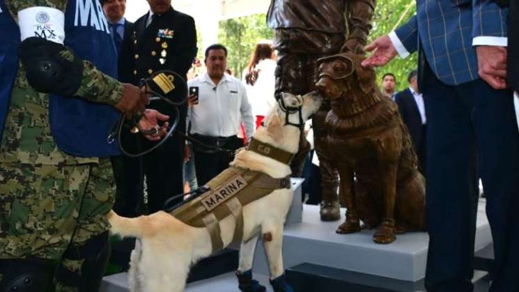 Fallece Frida, la perrita rescatista de la Marina