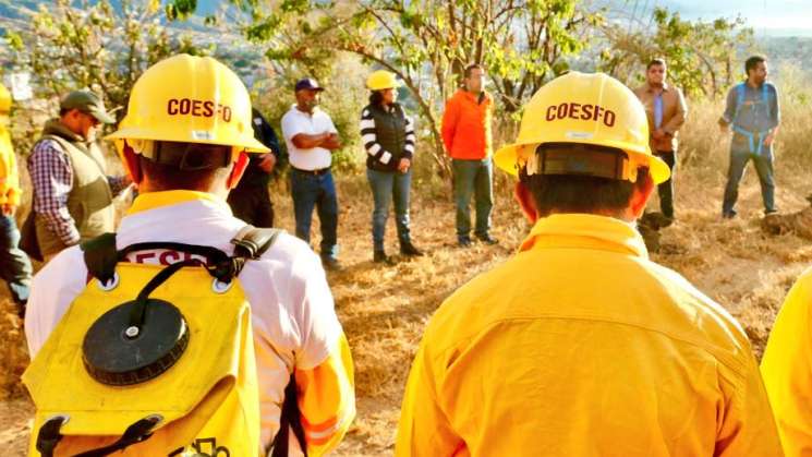 Realizan trabajos de prevención de incendios forestales 