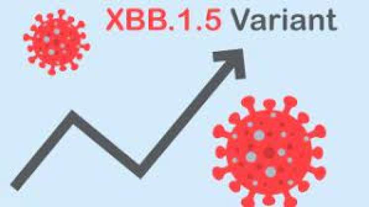 Nueva variante del coronavirus, Kraken, es más transmisible: OMS