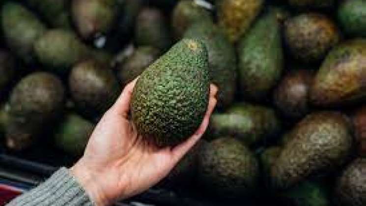 El precio del aguacate se desploma en un 50% en México