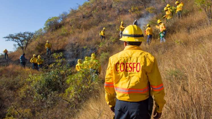 Coesfo e INAH previenen incendios que afecten Monte Albán