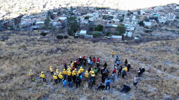 Se cuida zona arqueológica de Yagul y población de jaguar :Coesfo