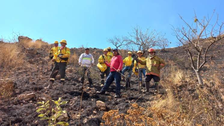 Sofoca Coesfo 2  incendios registrados en cerro de Monte Alban