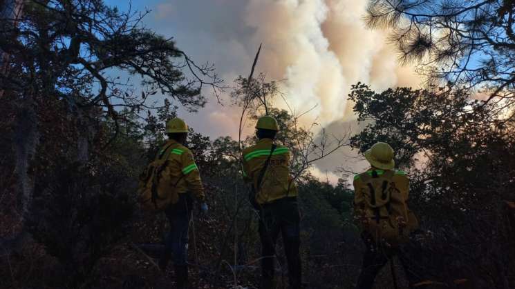  Combate incendio Coesfo en San Idelfonso Amatlán