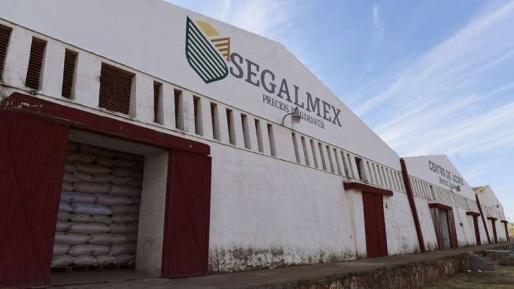 En caso Segalmex vinculan a proceso a coordinador por desfalco 