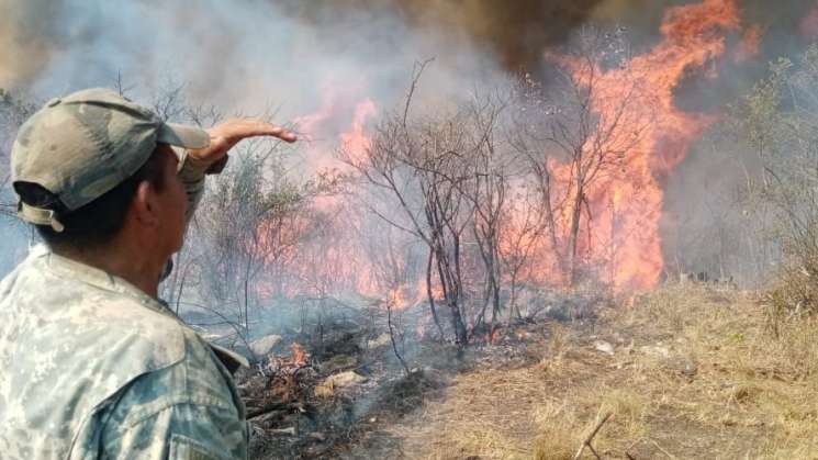 Sofocan 3 incendios forestales y se combaten 5 activos: Coesfo