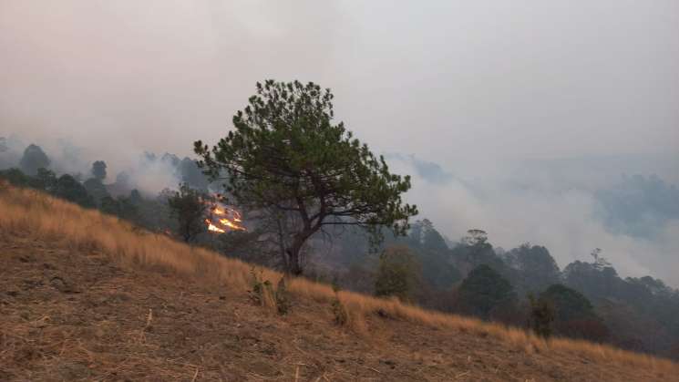 Tras incendio en Mixteca, emite SSO recomendaciones a población 