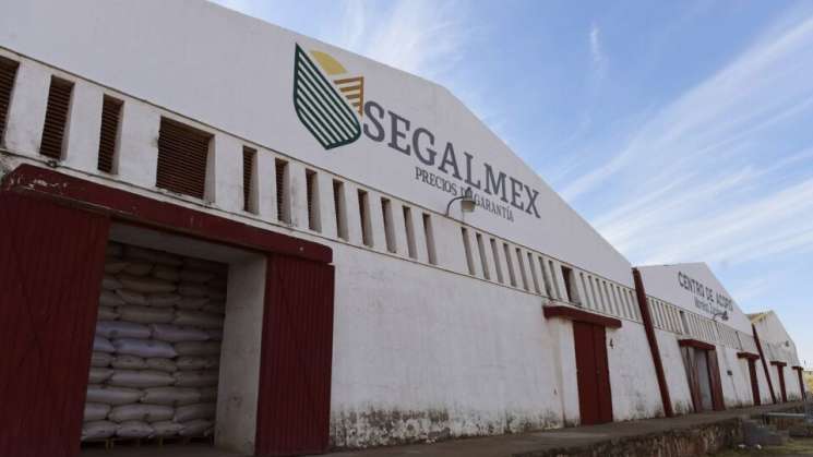 Debe Segalmex comprobar recuperación de 950 mdp: INAI