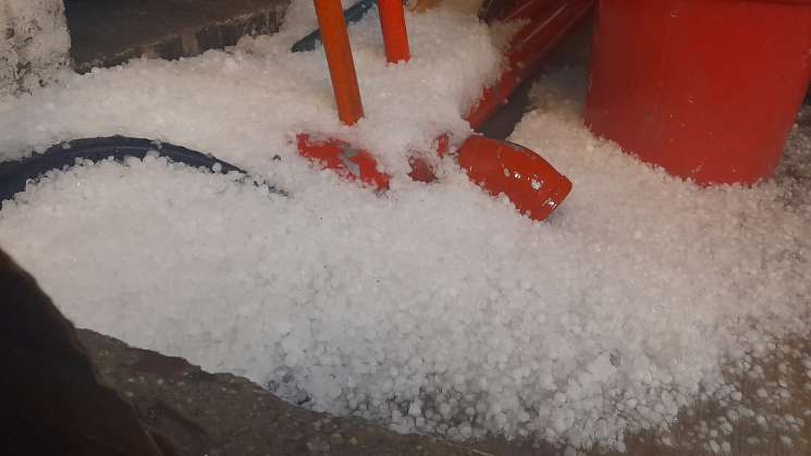 Arboles caídos tras lluvia atípica y caída de granizo en Oaxaca  