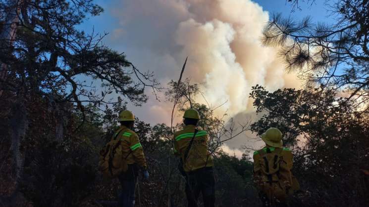 Atiende Coesfo incendio en San Miguel Albarradas 