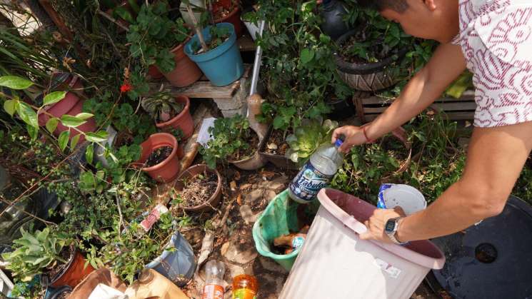 Pide SSO a mujeres embarazadas extremar medidas para evitar Zika