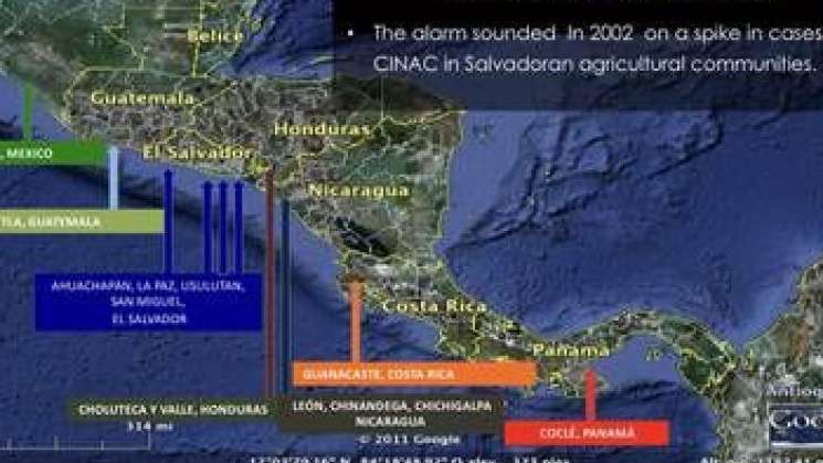 Herbicida causo enfermedades renales en costas del Pacifico