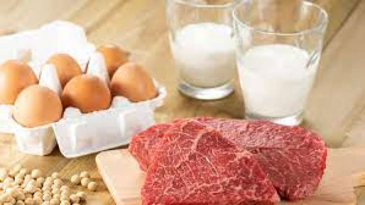 Carne Huevos Y Leche Son Fuente Esencial De Nutrientes Fao 7163