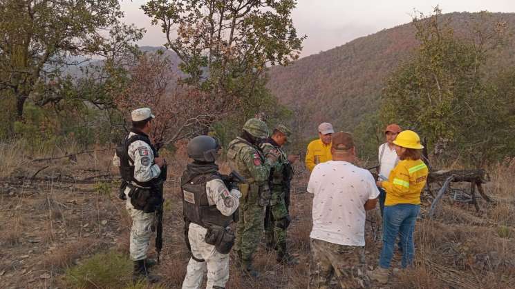 Combate Coesfo cuatro incendios forestales en Oaxaca 