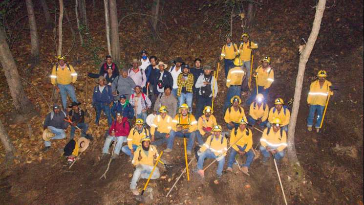 Brigadistas, héroes protectores de los bosques de Oaxaca