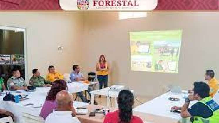 Realizarán Foro Estatal Forestal con expertos en Oaxaca