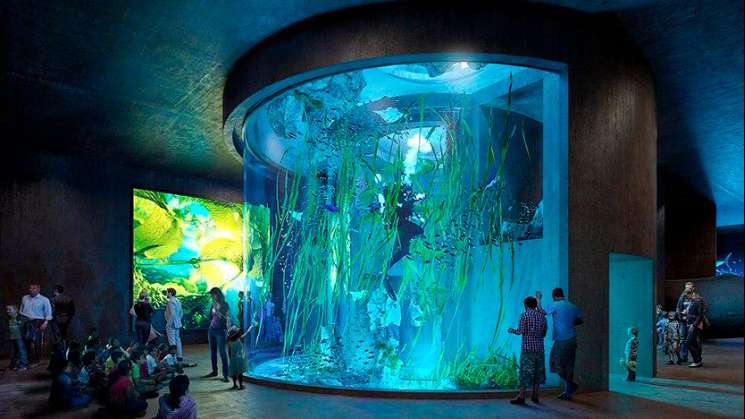 Inaugura Mazatlán el mayor acuario de América Latina