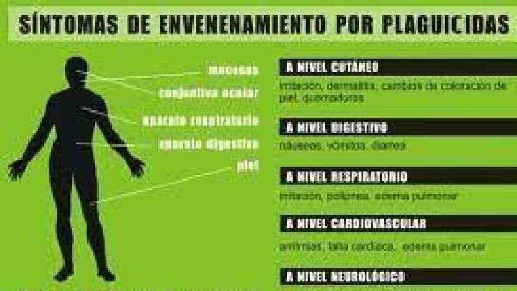 Promueve SSO acciones para prevenir intoxicación por agroquímicos