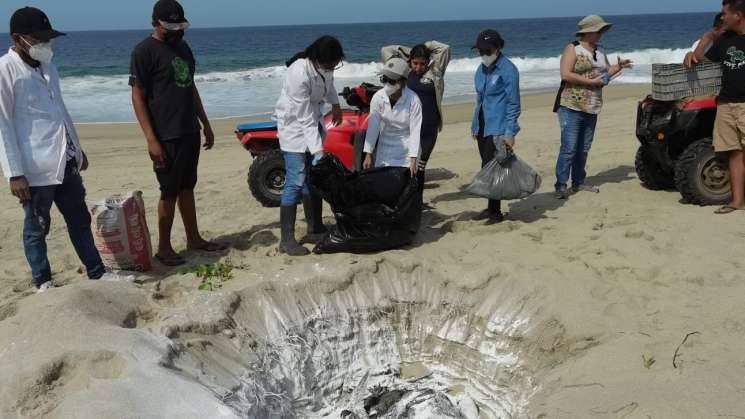 Muerte de aves en las costas de Oaxaca fue por inanición: Umar   