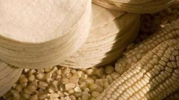 Impulsará México el consumo de maíz blanco en tortillas 