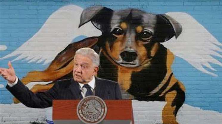 Presentará AMLO iniciativa para proteger a animales por maltrato