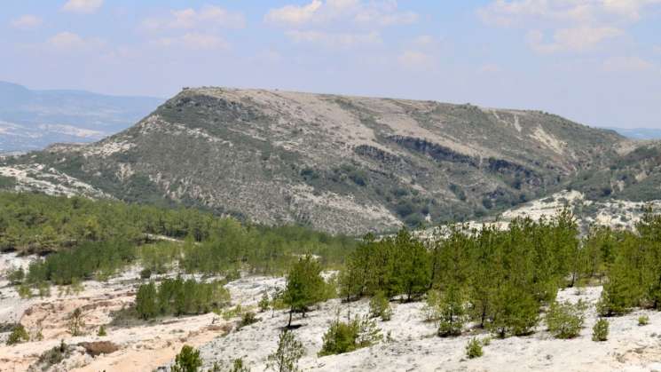 Logran comunidades restauración ambiental a nivel mundial