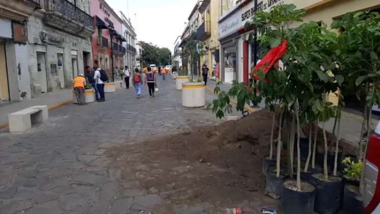 Ayuntamiento capitalino pide no tirar basura en maceteros nuevos