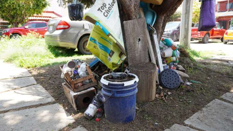 Oaxaca ocupa el décimo lugar a nivel nacional por dengue: SSO    