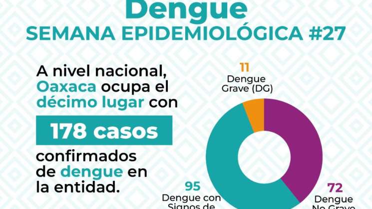 SSO llama a recibir atención médica ante síntomas de dengue