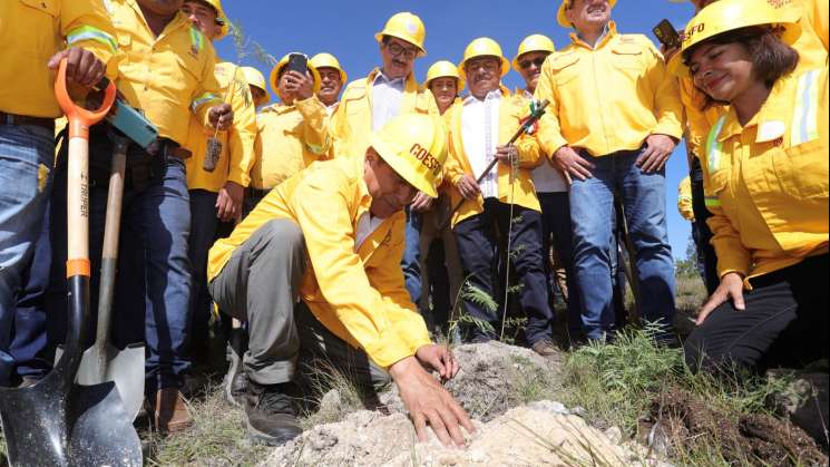 Arranca Salomón Jara Jornada Estatal de Reforestación 2023   