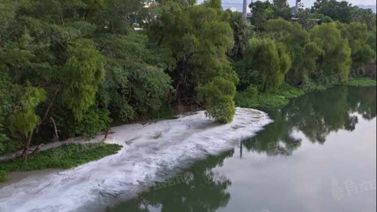 Piden investigar a cervecera por contaminación al río Papaloapan