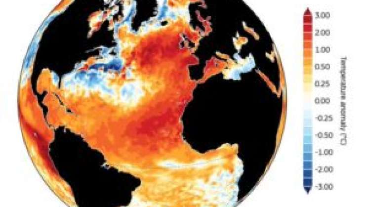 Se batió récord global de calor la semana pasada: ONU