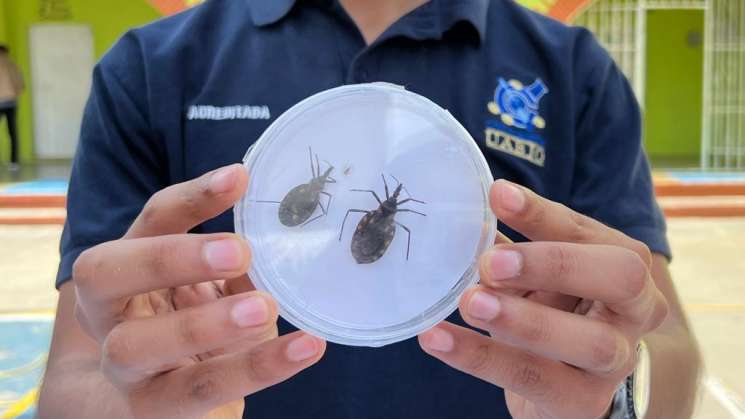 Chagas, causante de problemas cardíacos: SSO  