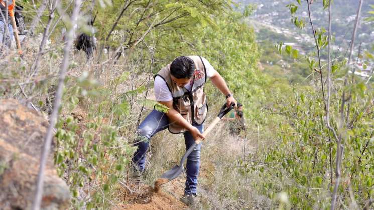 Siembra de árboles contribuye a recargar mantos acuíferos: Soapa 