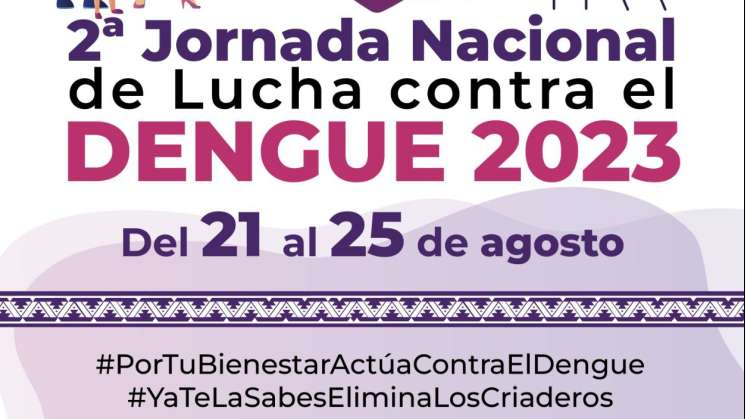 Sigue Segunda Jornada Nacional de Lucha contra el Dengue   